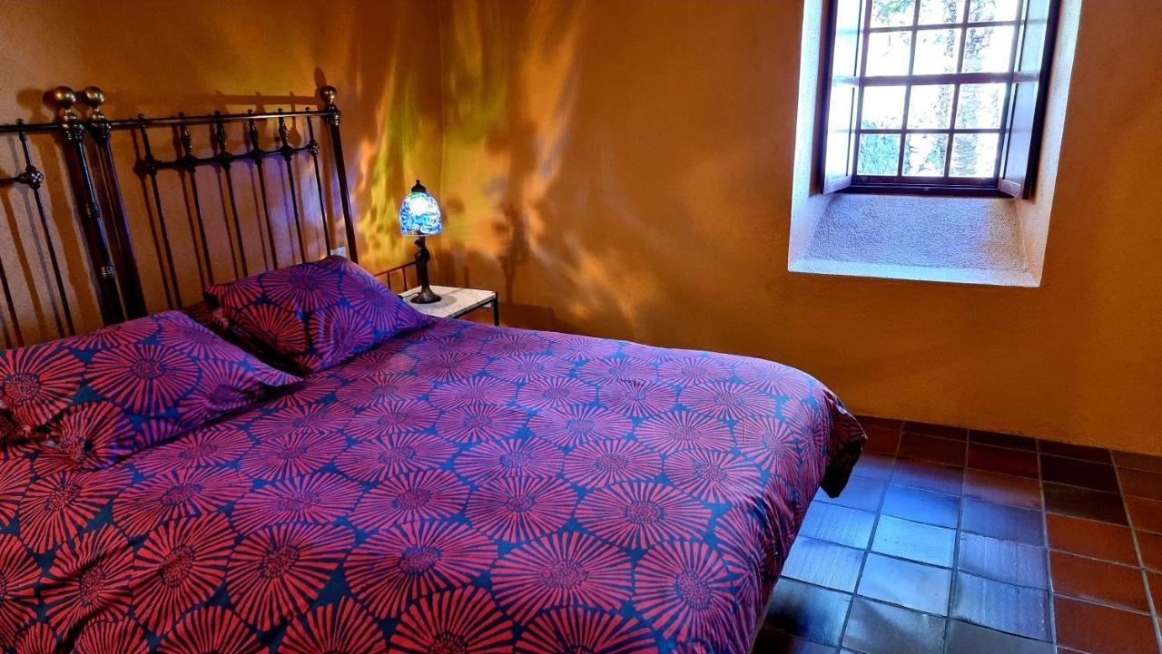 Celeste Mazo Buitenkant foto